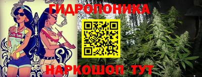 apvp Кинель
