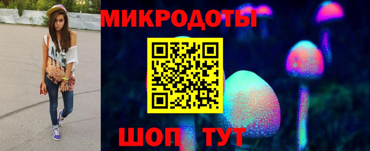 Галлюциногенные грибы Psilocybine cubensis Коммунар